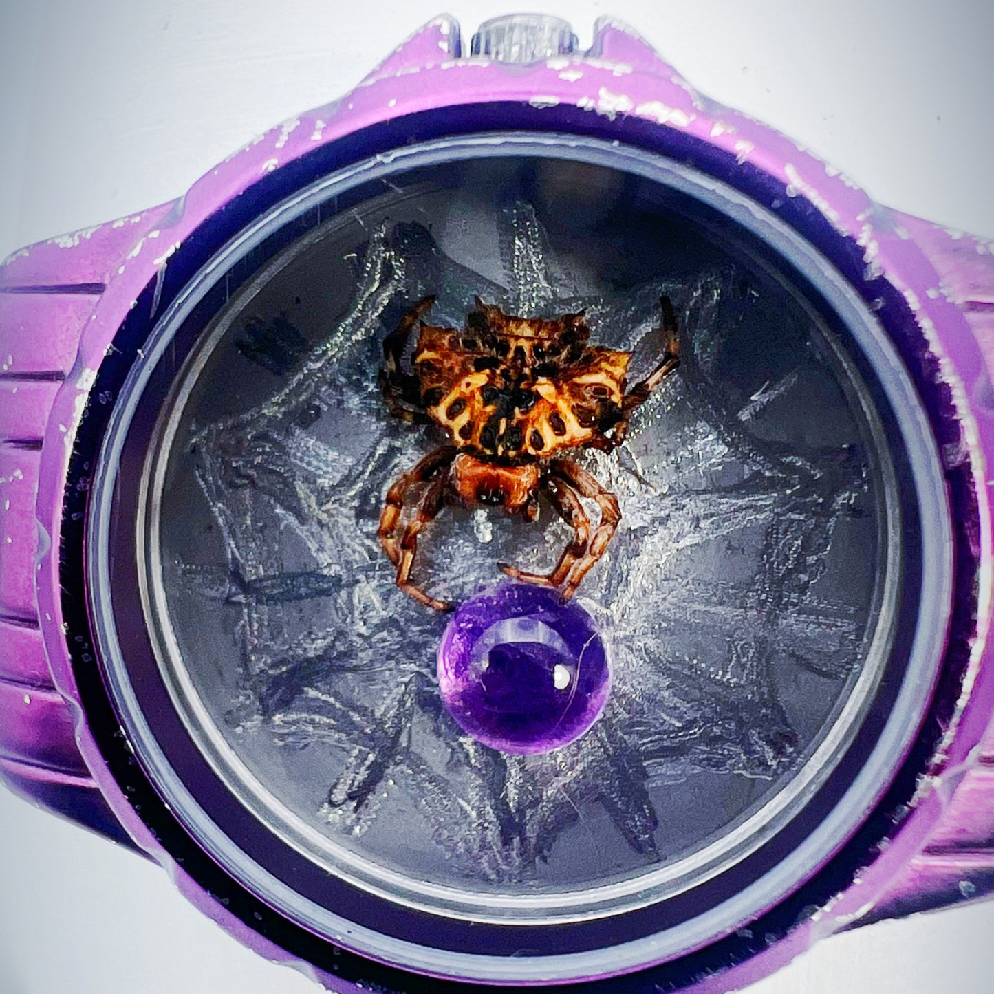 Spider & Amethyst Bracelet