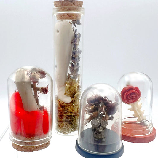 Curio Mystery Box